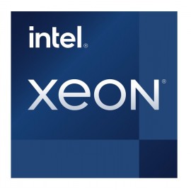 Procesor Intel Xeon E-2386G Tray
