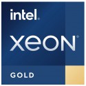 Procesor Intel Xeon Gold 6330H