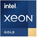 Intel Xeon Gold 5423N
